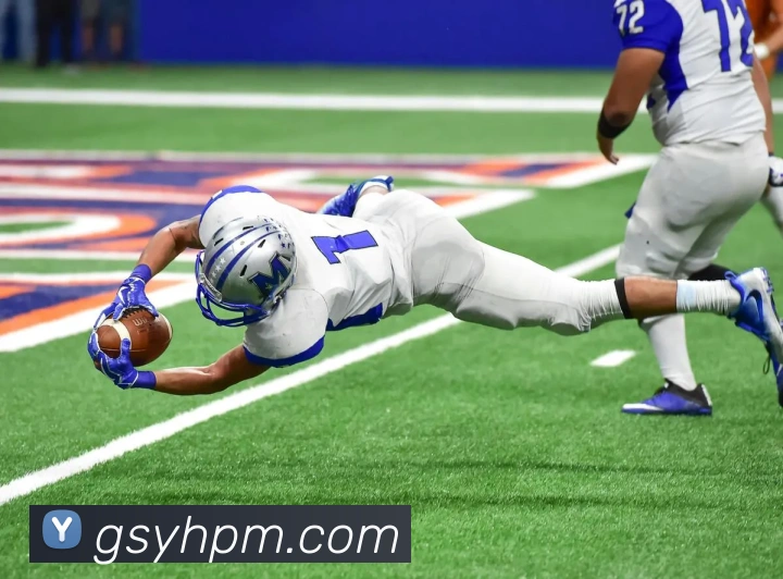 开云平台生态图