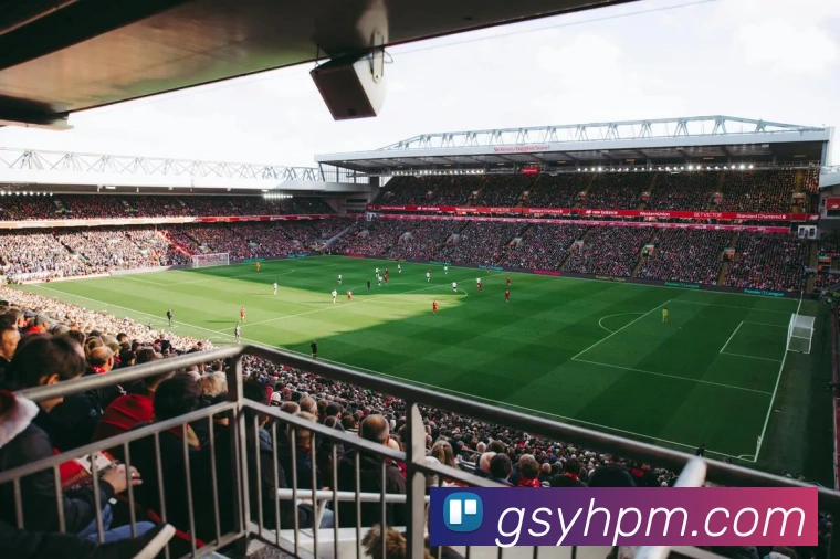 战术分析频道