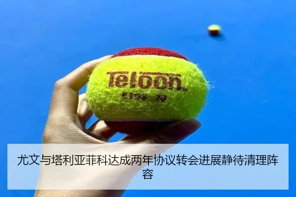 尤文与塔利亚菲科达成两年协议转会进展静待清理阵容